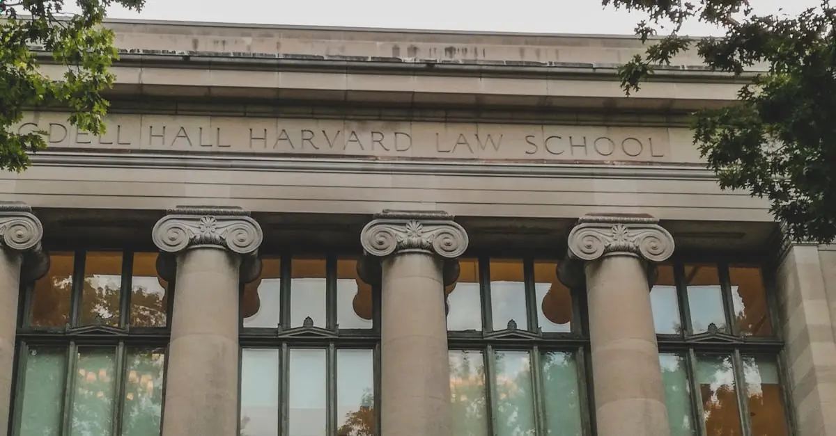 image_68209be342a323.33473483-1